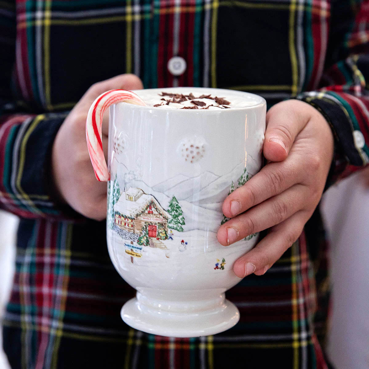 Berry & Thread North Pole Mug